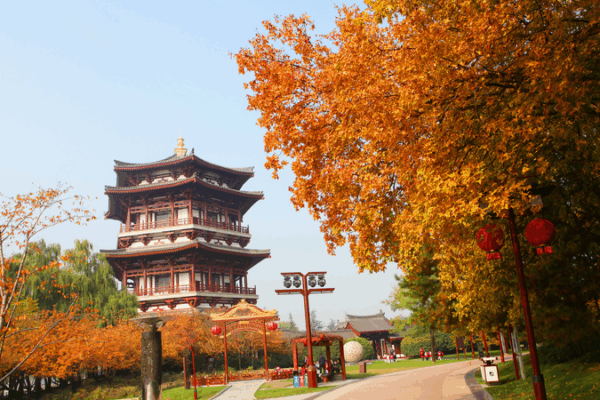 Xi’an’s Tang Paradise Shines in Autumn’s Golden Glow