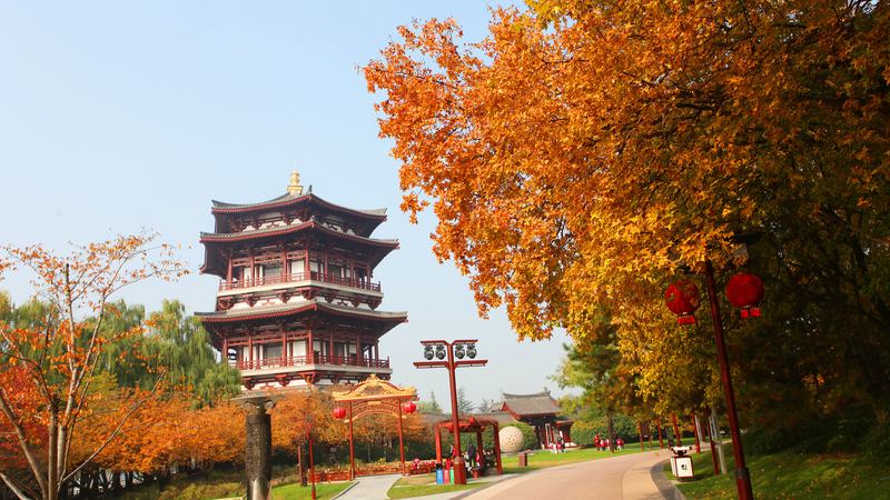5TSSGKTTCAXL2N8DXMIW - News for amigos, by amigos Xi’an’s Tang Paradise Shines in Autumn’s Golden Glow