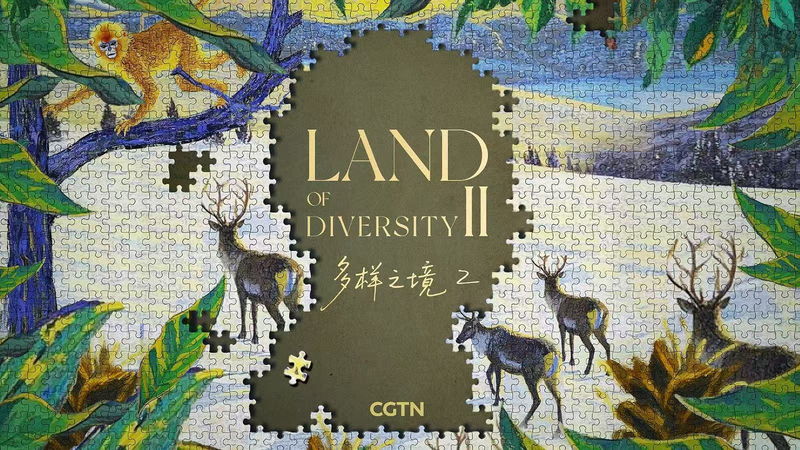 Land of Diversity II: Humans & Biosphere Unite 🌿 video poster