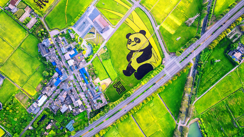 9QIP7M6NP1R1QYZ5DKGP - News for amigos, by amigos China’s Young Innovators Use Tech and Education to End Hunger