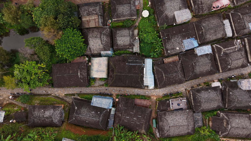 Ancient_Wisdom_in_Puer_s_Tea_Tree_Forest_Villages_poster - News for amigos, by amigos Ancient_Wisdom_in_Puer_s_Tea_Tree_Forest_Villages video poster