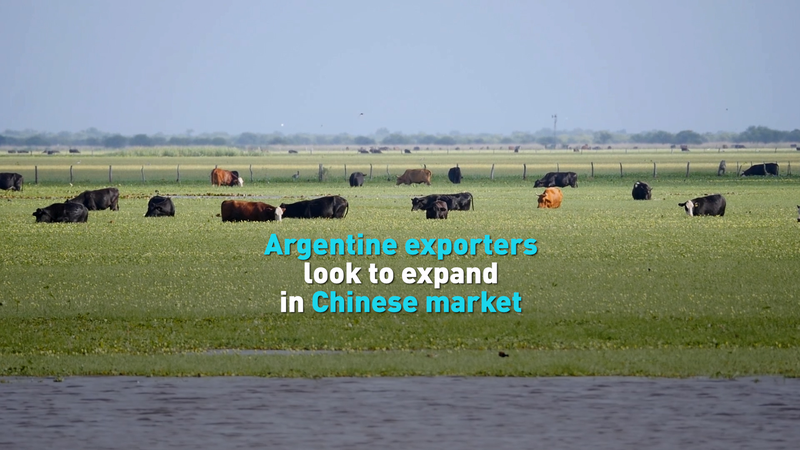Argentine_Exporters_Eye_Chinese_Market_Boost_at_Shanghai_Expo_poster - News for amigos, by amigos Argentine_Exporters_Eye_Chinese_Market_Boost_at_Shanghai_Expo video poster