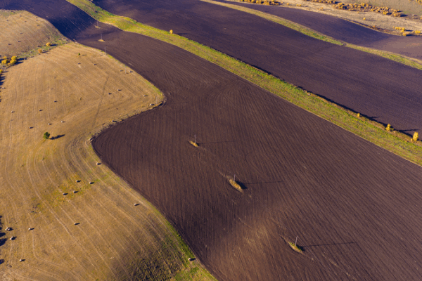 Black_Soil_Revival_Fuels_Food_Security_on_the_Chinese_mainland