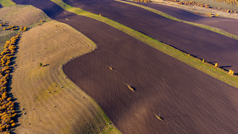 Black_Soil_Revival_Fuels_Food_Security_on_the_Chinese_mainland - News for amigos, by amigos Black_Soil_Revival_Fuels_Food_Security_on_the_Chinese_mainland