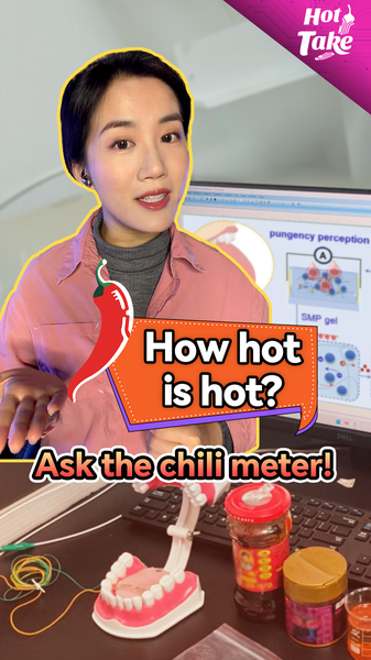 Can_Robots_Taste_Heat__Chinese_Mainland_Scientists_Create_Gel_Based_Chili_Meter video poster