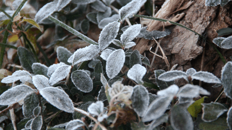 China Braces for Three Successive Cold Snaps with Snow, Wind and Chill China_Braces_for_Three_Successive_Cold_Snaps_with_Snow__Wind_and_Chill