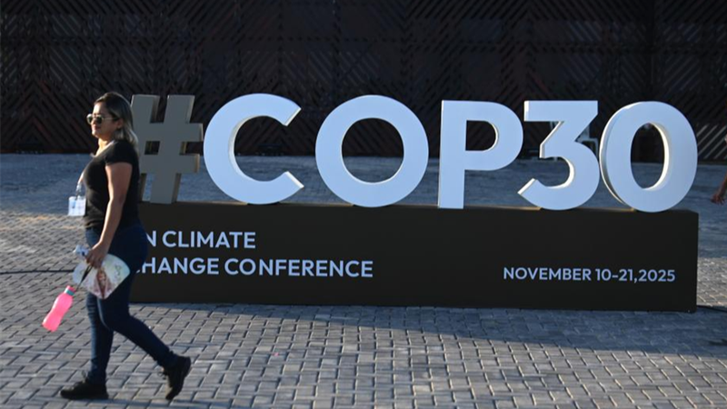 China_s_Clean_Energy_Surge__Leading_the_Global_Climate_Charge