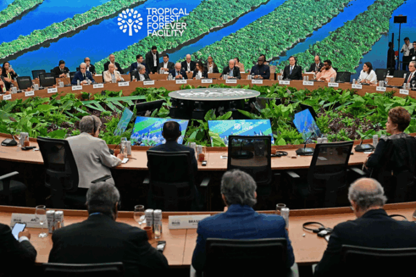 China_s_Green_Transformation__The_Logic_of_Ecological_Civilization