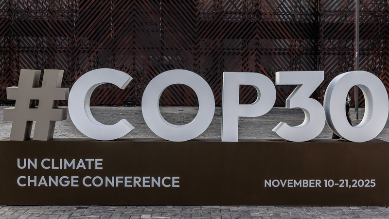 China_urges_global_unity_to_protect_tropical_rainforests - News for amigos, by amigos China_urges_global_unity_to_protect_tropical_rainforests