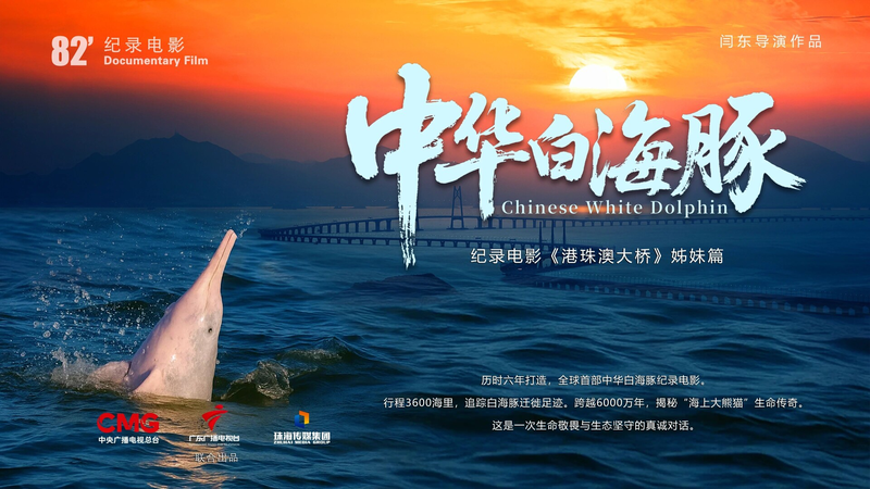 Chinese_White_Dolphin_Docu_Premieres_Dec_12_to_Highlight_Conservation