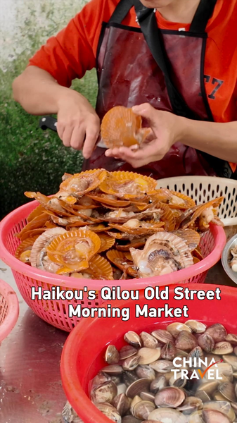 Morning Magic at Haikou’s Qilou Old Street Market video poster