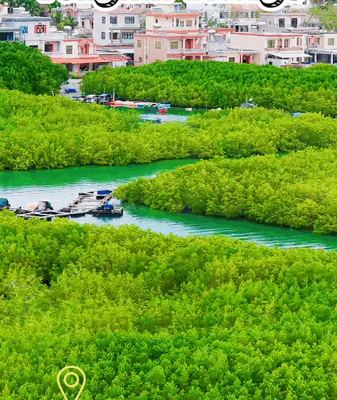 Discover_Slow_Living_Bliss_in_Lingshui_s_Tonghai_Village video poster