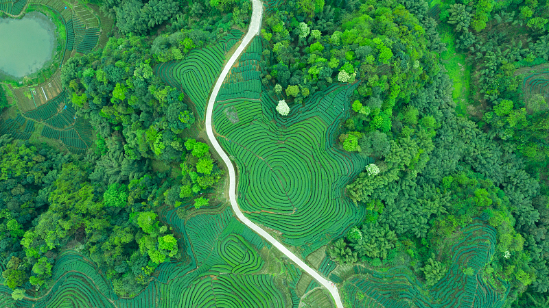 E9ZU2EKL244X65IBIB25 - News for amigos, by amigos Xi’s Eco-Civilization Thought: A Blueprint for Global Green Modernization