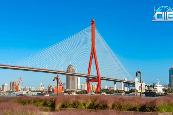 Yangpu Riverfront: Shanghai’s Serene Industrial-Chic Escape video poster