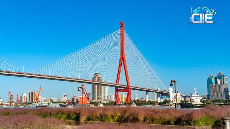 FUVT78TPCUYRDD8JXPAW - News for amigos, by amigos Yangpu Riverfront: Shanghai’s Serene Industrial-Chic Escape video poster