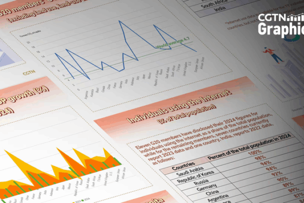 G20_in_Focus__Economic__Environmental___Digital_Trends_Ahead_of_Johannesburg_Summit