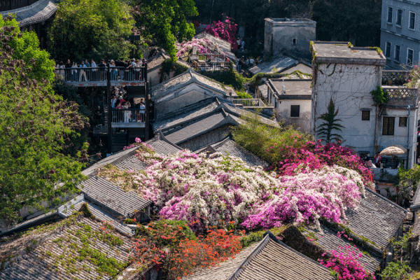 Gankeng_Hakka_Town_Comes_Alive_for_China_s_15th_National_Games video poster