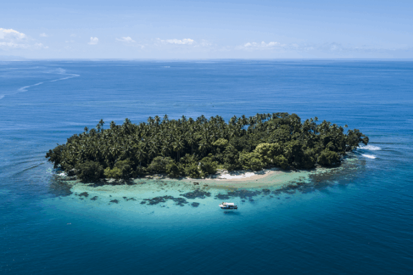 PNG Eyes Deeper Cooperation with the Chinese Mainland under APEC 🌏 video poster