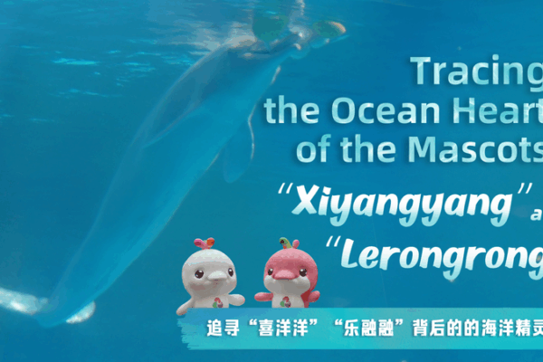 How_White_Dolphins_Inspired_Xiyangyang___Lerongrong_Mascots video poster