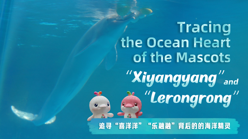How_White_Dolphins_Inspired_Xiyangyang___Lerongrong_Mascots video poster