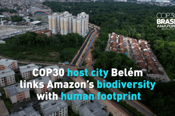 COP30 in Belém: Spotlight on the Amazon Gateway video poster