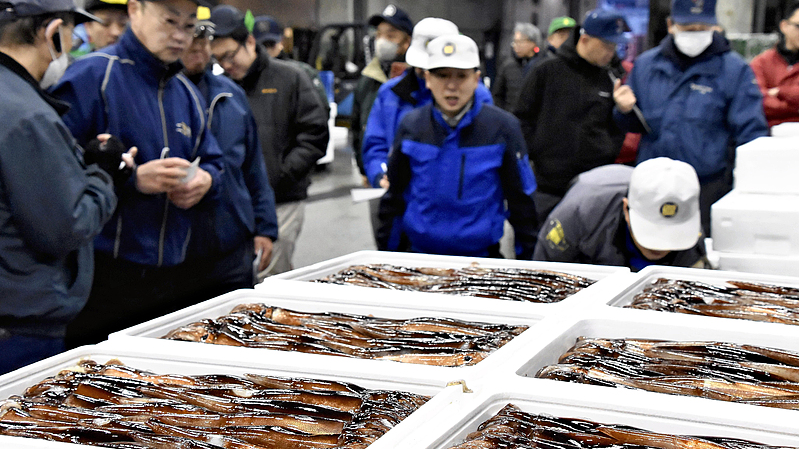 Japan_Fisheries_Worry_Over_China_Market_After_PM_Takaichi_Remarks