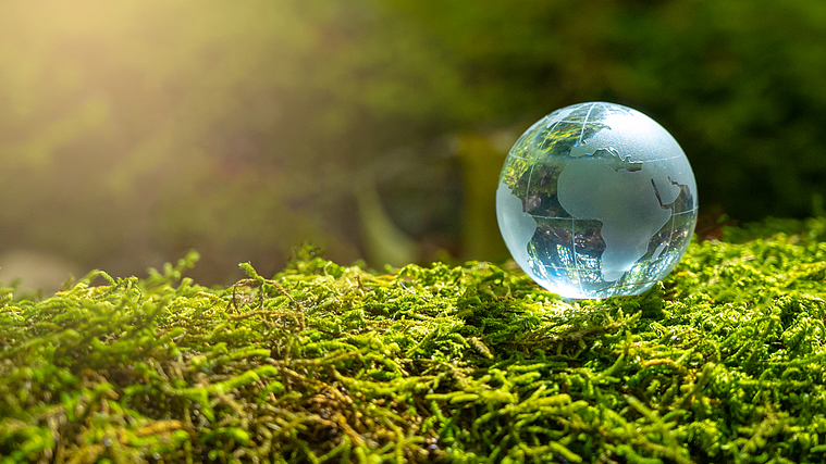 Global Poll Calls for Climate Action on Paris Pact’s 10th Anniversary