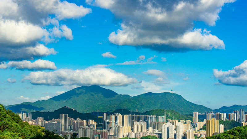 Live_from_Wutong_Mountain__Peaks__Forests___Marathon_Magic_poster - News for amigos, by amigos Live_from_Wutong_Mountain__Peaks__Forests___Marathon_Magic video poster