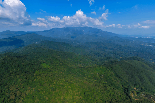 Luofu_Mountain_s_Green_Magic_Powers_the_15th_National_Games video poster