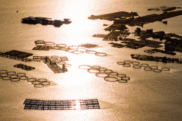 Hainan’s Sea Nomads: Exploring the Tanka Life in Lingshui