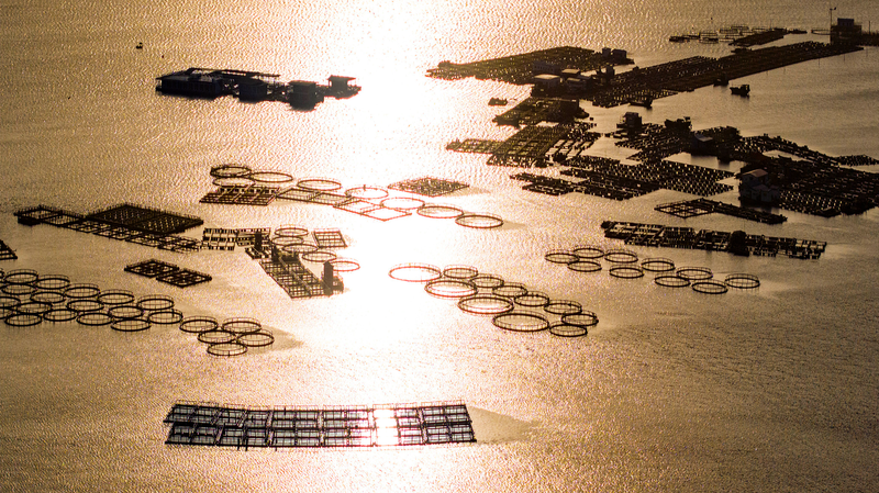 M3EJ4YSAA0S5YO6QNHJB - News for amigos, by amigos Hainan’s Sea Nomads: Exploring the Tanka Life in Lingshui