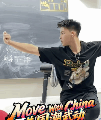 Move_with_China__Tai_Chi_on_the_Way_Home video poster