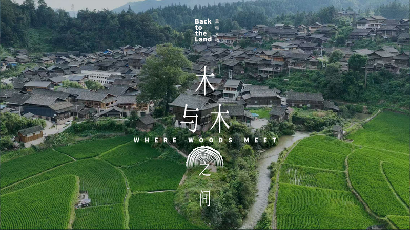 Nail_Free_Wooden_Homes__Dong_Timber_Framing_Art_in_Guizhou video poster