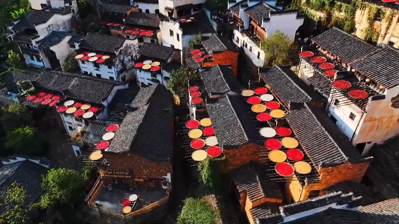 Wuyuan Autumn Tour: Colorful Harvest in Huangling’s Hui-Style Villages video poster