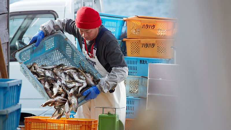 Okinawa_Fishermen_Face_Risk_from_Japan_Chinese_Mainland_Tensions_poster - News for amigos, by amigos Okinawa_Fishermen_Face_Risk_from_Japan_Chinese_Mainland_Tensions video poster