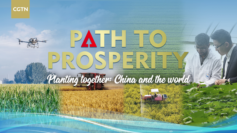 Planting_Together__Chinese_mainland_s_global_farming_collaboration video poster