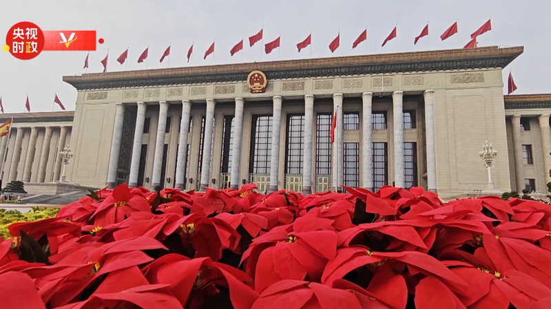 President_Xi_Welcomes_Spain_s_King_Felipe_VI_in_Beijing