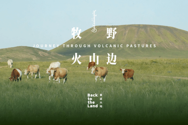 From Beijing to Ulanqab: Discover Inner Mongolia’s Volcanic Grasslands video poster