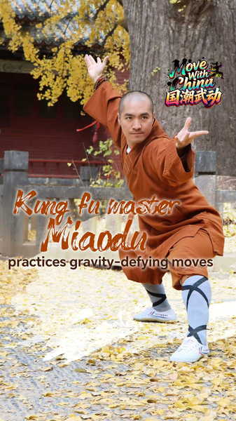 RGDTI8N6NMEG8UNBPRU3 - News for amigos, by amigos Master Miaodu’s Gravity-Defying Kung Fu on Songshan Mountain video poster