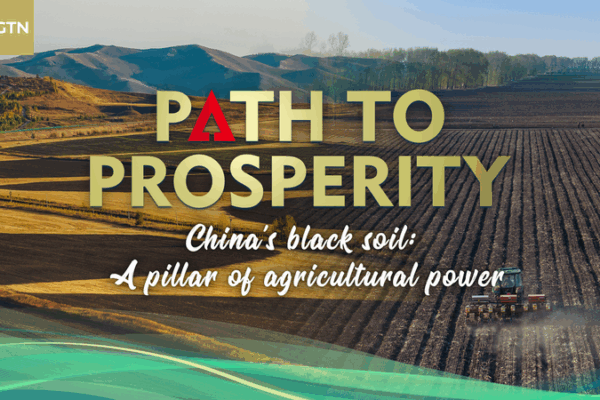 Reviving_China_s_Black_Soil__The_Power_Behind_Northeast_Grain_Production video poster