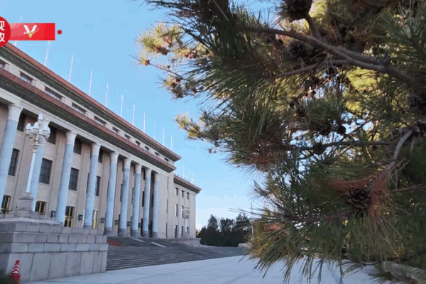 Xi Jinping Welcomes Tonga’s King on State Visit