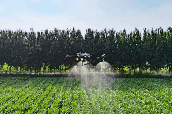 Smart_Farming_Powers_Jilin_s_Bumper_Harvest