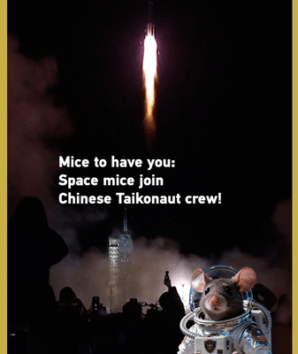 Space Mice Join Chinese Taikonaut Crew on Shenzhou-21 Space_Mice_Join_Chinese_Taikonaut_Crew_on_Shenzhou_21 video poster