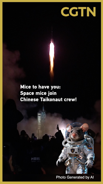 Space_Mice_Join_Chinese_Taikonaut_Crew_on_Shenzhou_21_poster - News for amigos, by amigos Space_Mice_Join_Chinese_Taikonaut_Crew_on_Shenzhou_21 video poster