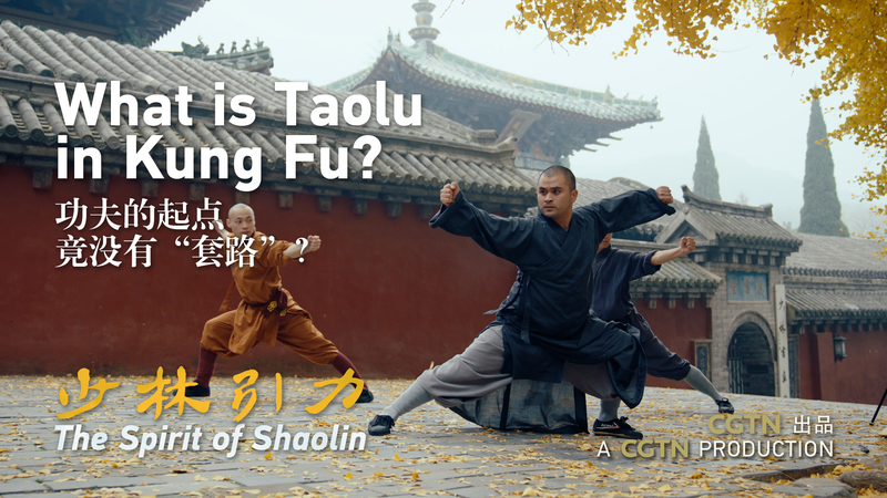 Taolu_in_Shaolin_Kung_Fu__The_Art_of_Choreographed_Combat video poster