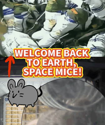 Tiny_Space_Mice_Return_Safely_After_Shenzhou_20_Mission video poster