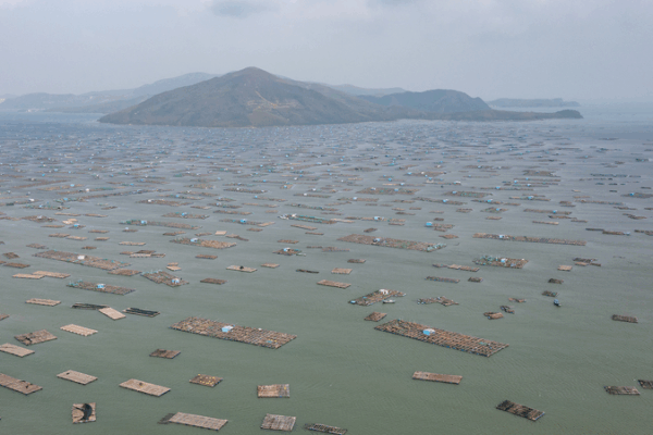 Vietnam_Faces_Unprecedented_Floods__Worst_in_50_Years