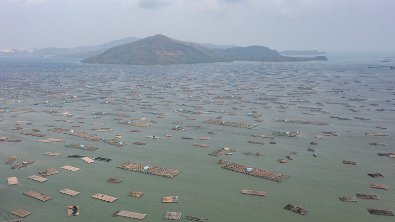 Vietnam_Faces_Unprecedented_Floods__Worst_in_50_Years - News for amigos, by amigos Vietnam_Faces_Unprecedented_Floods__Worst_in_50_Years