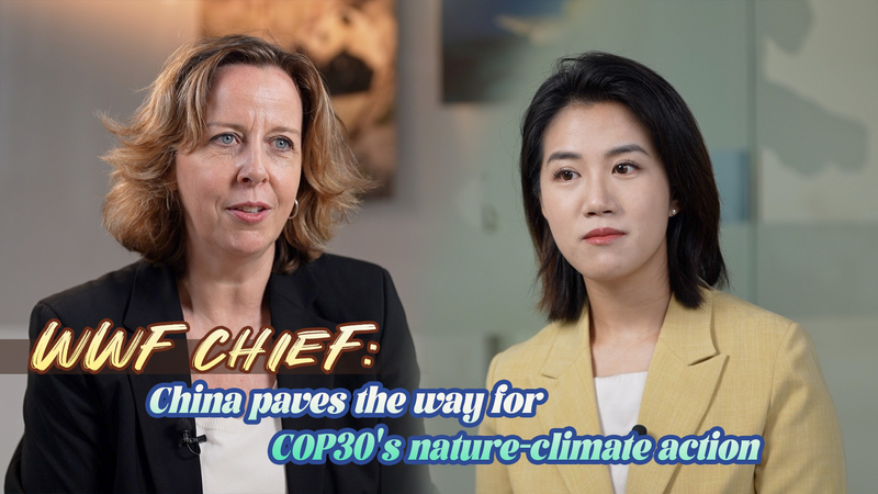 WWF_Chief__China_Paves_the_Way_for_COP30_Nature_Climate_Solutions video poster