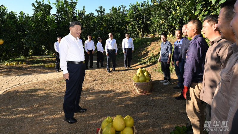 Xi_Jinping_in_Meizhou__Revolution_Vibes___Pomelo_Power - News for amigos, by amigos Xi_Jinping_in_Meizhou__Revolution_Vibes___Pomelo_Power